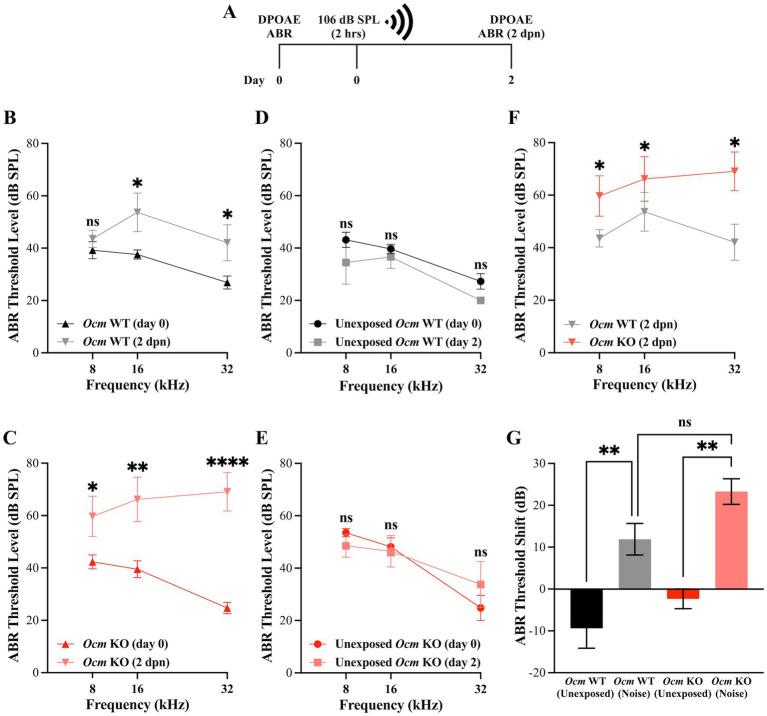 https://cdn.ncbi.nlm.nih.gov/pmc/blobs/7172/11537894/c2f44cd3733a/fneur-15-1435749-g001.jpg