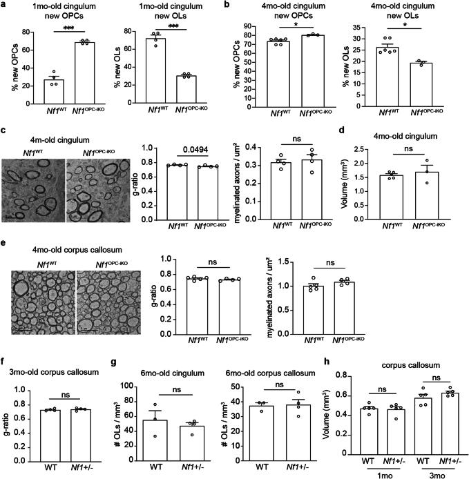https://cdn.ncbi.nlm.nih.gov/pmc/blobs/7174/11303248/463706ffc5ae/41593_2024_1654_Fig14_ESM.jpg
