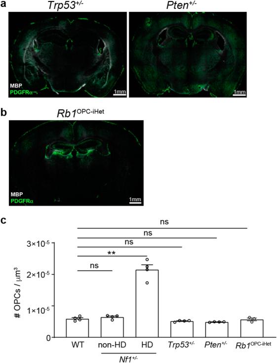 https://cdn.ncbi.nlm.nih.gov/pmc/blobs/7174/11303248/60faeba71cdb/41593_2024_1654_Fig11_ESM.jpg