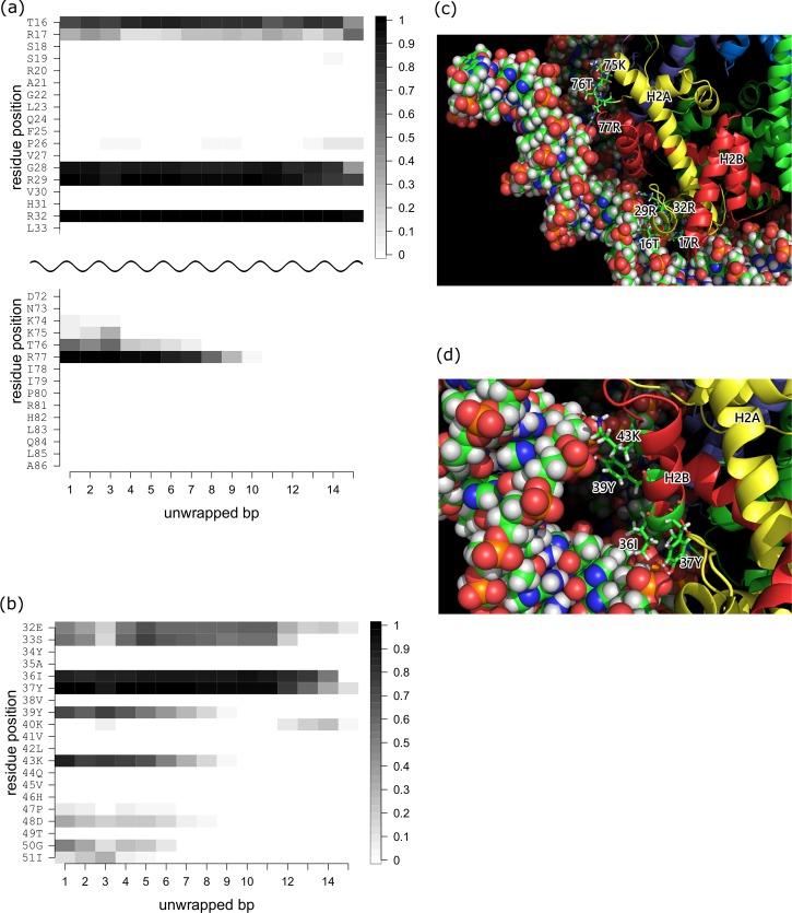 https://cdn.ncbi.nlm.nih.gov/pmc/blobs/7175/5854429/b4eeb822960c/pcbi.1006024.g005.jpg