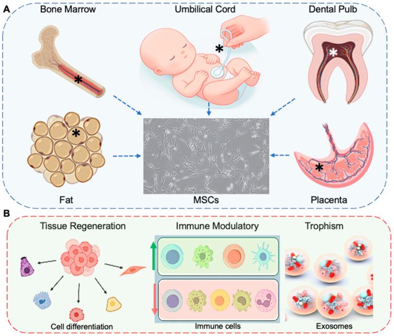 https://cdn.ncbi.nlm.nih.gov/pmc/blobs/7176/11591657/4d67aa4bdb9f/bioengineering-11-01160-g002.jpg