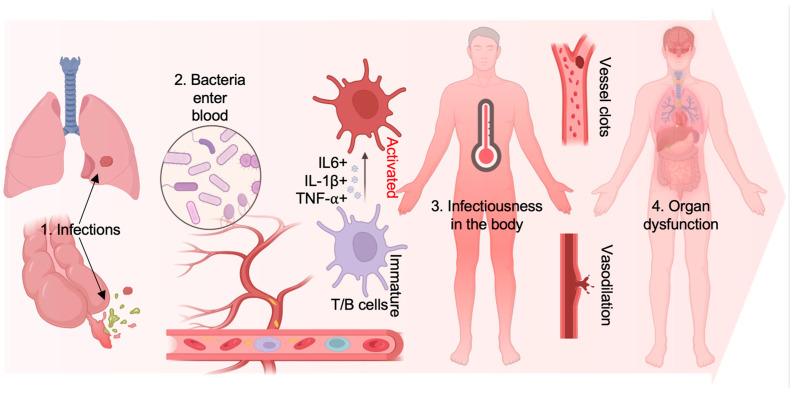 https://cdn.ncbi.nlm.nih.gov/pmc/blobs/7176/11591657/ac011aab294a/bioengineering-11-01160-g001.jpg