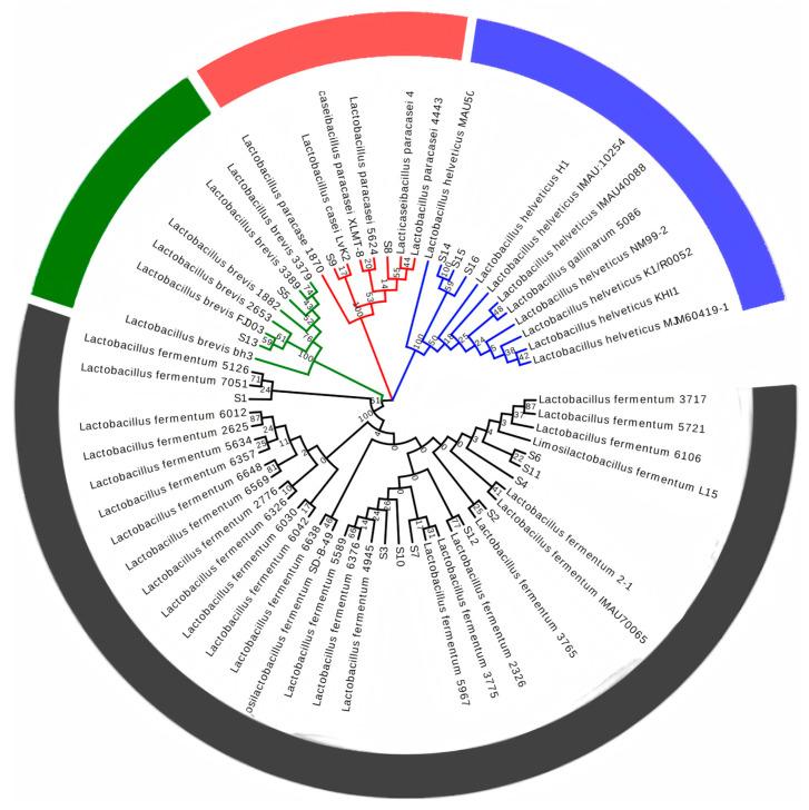 https://cdn.ncbi.nlm.nih.gov/pmc/blobs/7177/12388837/8d76d68ee3bc/microorganisms-13-01767-g003.jpg
