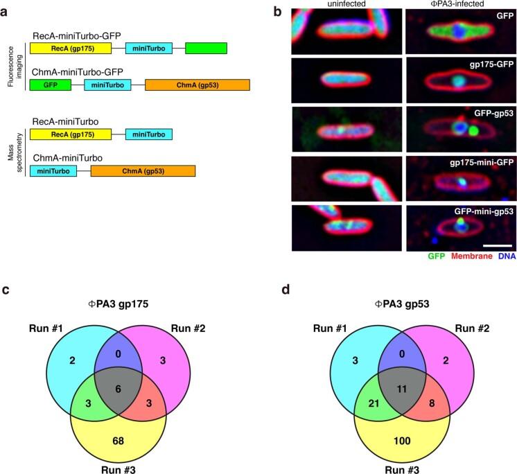 https://cdn.ncbi.nlm.nih.gov/pmc/blobs/7179/10643120/0730c971c9ea/41594_2023_1094_Fig6_ESM.jpg
