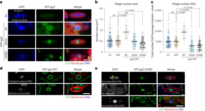https://cdn.ncbi.nlm.nih.gov/pmc/blobs/7179/10643120/15f2ad68bac3/41594_2023_1094_Fig4_HTML.jpg