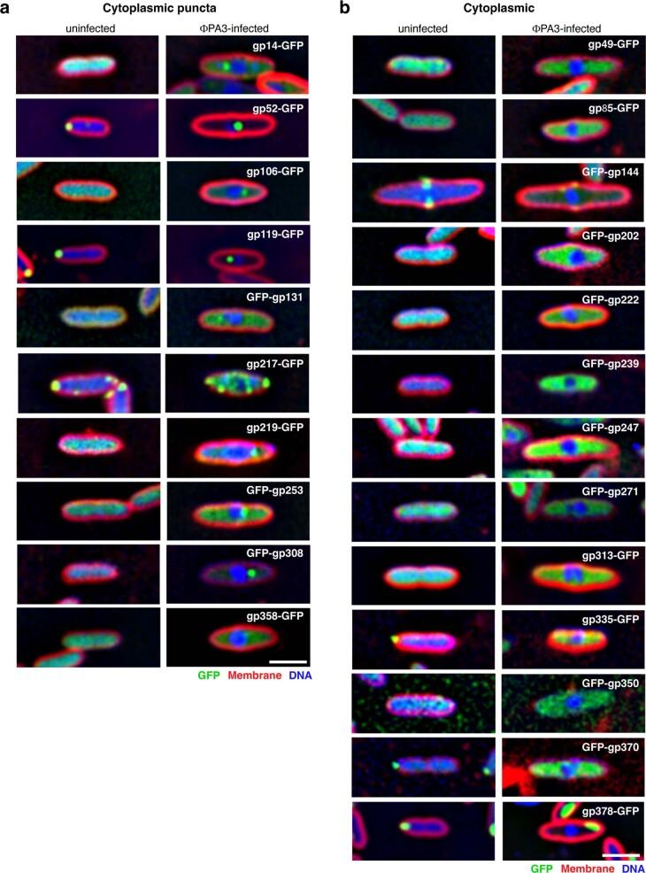 https://cdn.ncbi.nlm.nih.gov/pmc/blobs/7179/10643120/434e1e9da6af/41594_2023_1094_Fig7_ESM.jpg