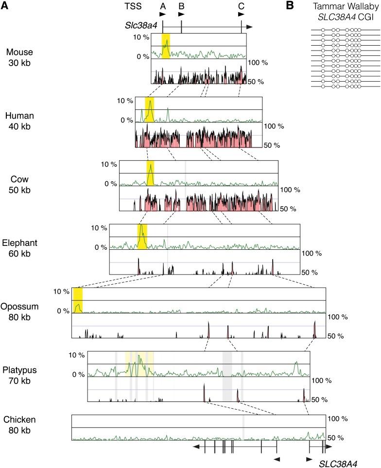 https://cdn.ncbi.nlm.nih.gov/pmc/blobs/7179/3217256/5bfee20db7bb/gbeevr104f05_3c.jpg