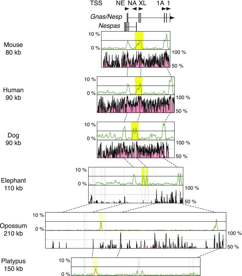 https://cdn.ncbi.nlm.nih.gov/pmc/blobs/7179/3217256/f2ac240247b6/gbeevr104f04_3c.jpg