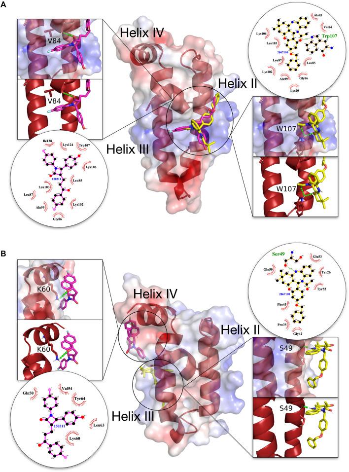 https://cdn.ncbi.nlm.nih.gov/pmc/blobs/717a/10445141/175d7685954b/fmolb-10-1158912-g005.jpg