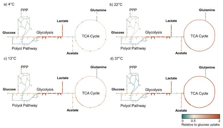 https://cdn.ncbi.nlm.nih.gov/pmc/blobs/717b/10890334/8e8aaac80091/metabolites-14-00091-g005.jpg
