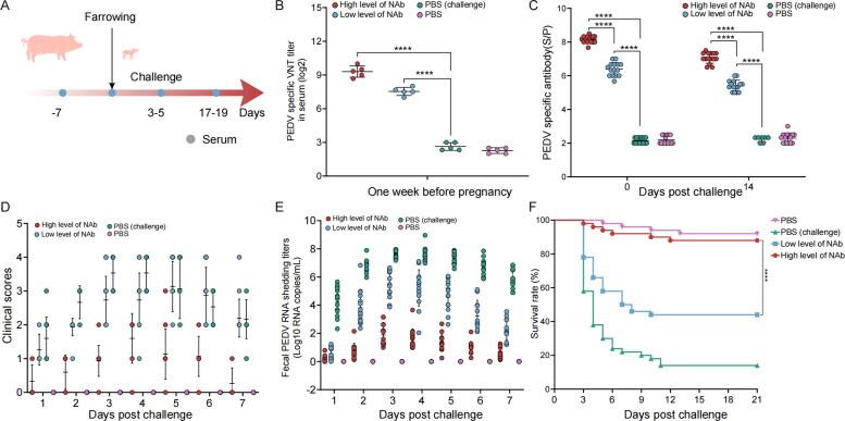 https://cdn.ncbi.nlm.nih.gov/pmc/blobs/717e/12120861/0483d0646430/TVEQ_A_2509506_F0008_C.jpg
