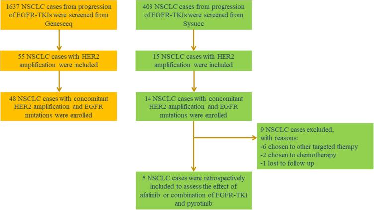 https://cdn.ncbi.nlm.nih.gov/pmc/blobs/717e/8609241/9699a4f75cfb/OTT-14-5297-g0002.jpg