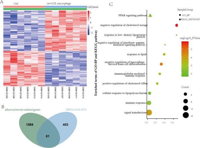 https://cdn.ncbi.nlm.nih.gov/pmc/blobs/7183/7678445/d519e29b633a/peerj-08-10336-g004.jpg