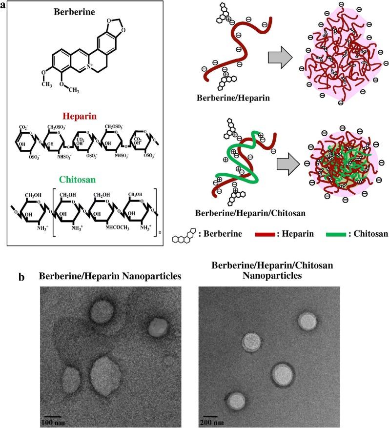 https://cdn.ncbi.nlm.nih.gov/pmc/blobs/7185/6145203/31ae947336b1/12951_2018_392_Fig6_HTML.jpg