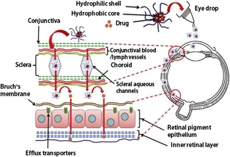 https://cdn.ncbi.nlm.nih.gov/pmc/blobs/7185/6145203/3e2ca30d38bb/12951_2018_392_Fig3_HTML.jpg