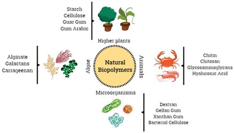 https://cdn.ncbi.nlm.nih.gov/pmc/blobs/7185/6145203/6b46ebb22b8c/12951_2018_392_Fig4_HTML.jpg