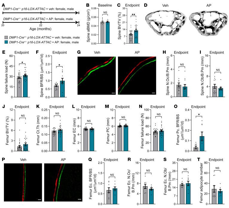 https://cdn.ncbi.nlm.nih.gov/pmc/blobs/7187/10104901/23dcd20c9ba0/jci-133-162519-g016.jpg