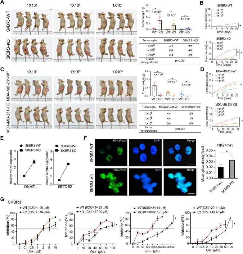 https://cdn.ncbi.nlm.nih.gov/pmc/blobs/7189/10548745/20d36354b6c4/13058_2023_1721_Fig4_HTML.jpg