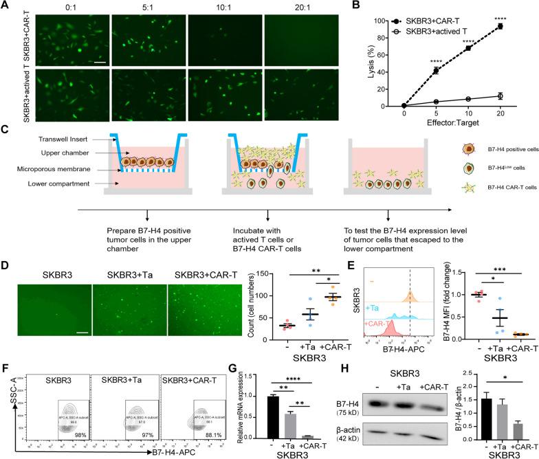 https://cdn.ncbi.nlm.nih.gov/pmc/blobs/7189/10548745/8ceaef8838e9/13058_2023_1721_Fig1_HTML.jpg