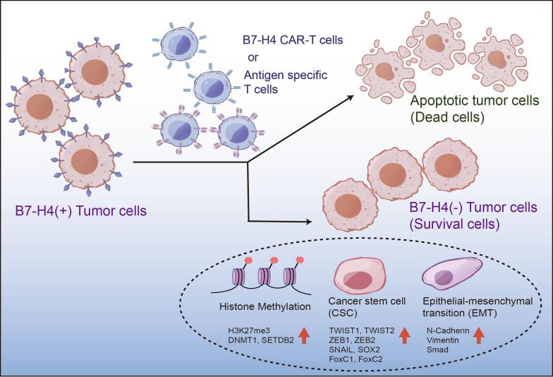 https://cdn.ncbi.nlm.nih.gov/pmc/blobs/7189/10548745/900911d1759a/13058_2023_1721_Fig7_HTML.jpg