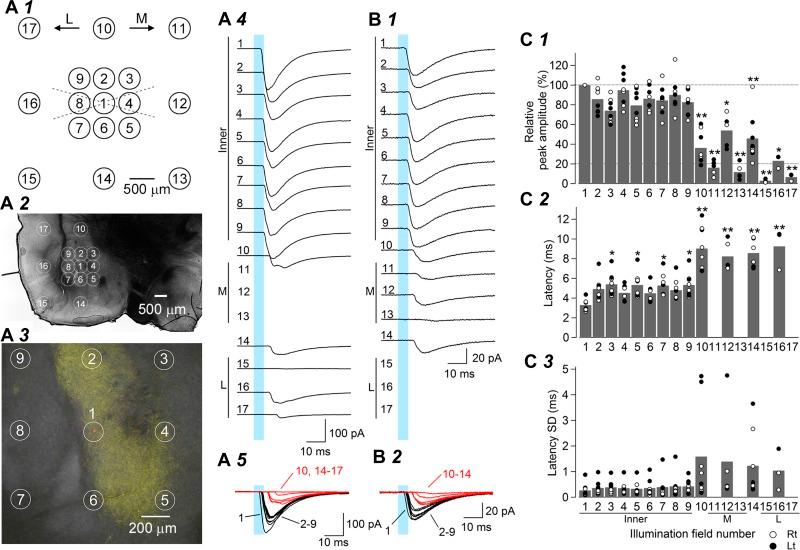 https://cdn.ncbi.nlm.nih.gov/pmc/blobs/718a/4922599/a448a01d074f/z9k0051636120004.jpg