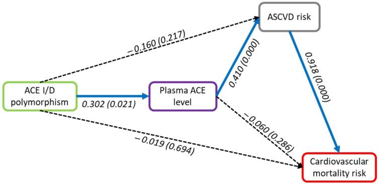 https://cdn.ncbi.nlm.nih.gov/pmc/blobs/718a/9318243/f29446aeda67/genes-13-01121-g006.jpg