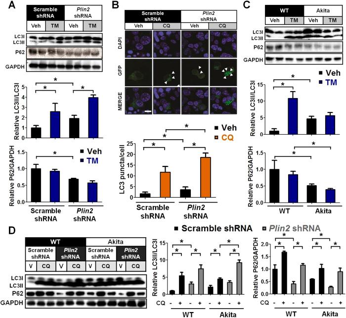 https://cdn.ncbi.nlm.nih.gov/pmc/blobs/718b/5244387/97d46ec5c853/srep40855-f7.jpg
