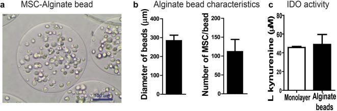 https://cdn.ncbi.nlm.nih.gov/pmc/blobs/718b/7661423/a52d64aafe9d/10565_2020_9532_Fig4_HTML.jpg