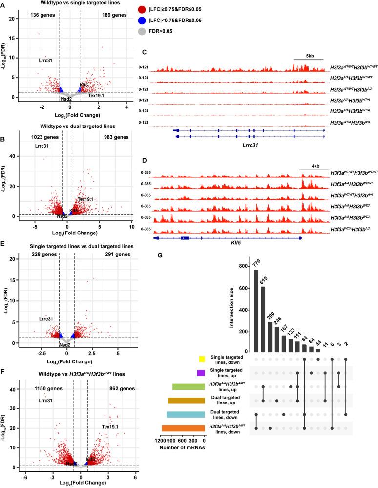https://cdn.ncbi.nlm.nih.gov/pmc/blobs/718c/11531108/fda20d360420/13072_2024_557_Fig4_HTML.jpg