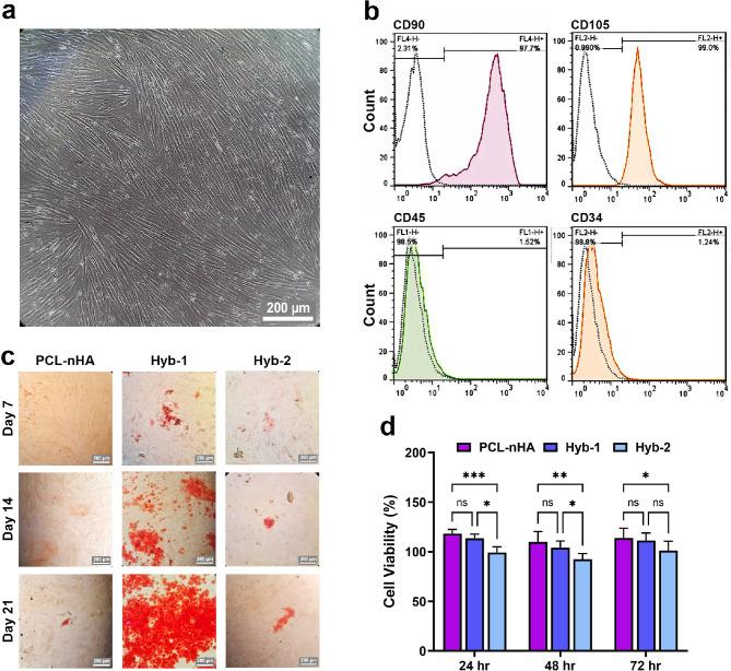 https://cdn.ncbi.nlm.nih.gov/pmc/blobs/718c/12093820/058f609c8f85/13036_2025_514_Fig5_HTML.jpg