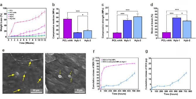 https://cdn.ncbi.nlm.nih.gov/pmc/blobs/718c/12093820/a10e3ae04bd9/13036_2025_514_Fig3_HTML.jpg