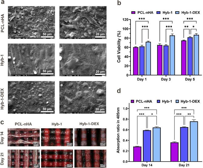 https://cdn.ncbi.nlm.nih.gov/pmc/blobs/718c/12093820/c30291db73ad/13036_2025_514_Fig7_HTML.jpg