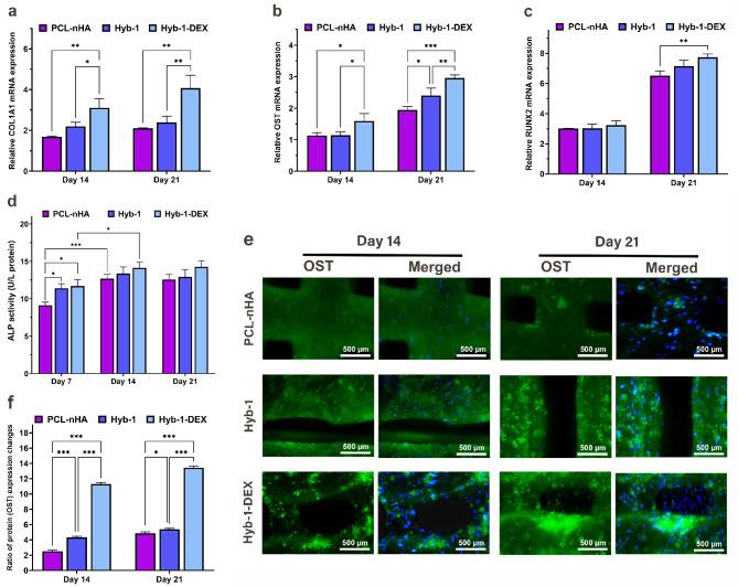 https://cdn.ncbi.nlm.nih.gov/pmc/blobs/718c/12093820/d9fe95d51bed/13036_2025_514_Fig6_HTML.jpg