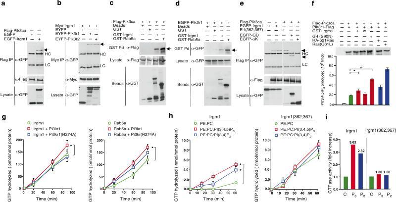 https://cdn.ncbi.nlm.nih.gov/pmc/blobs/718c/2715447/313da7753d15/nihms-119812-f0006.jpg