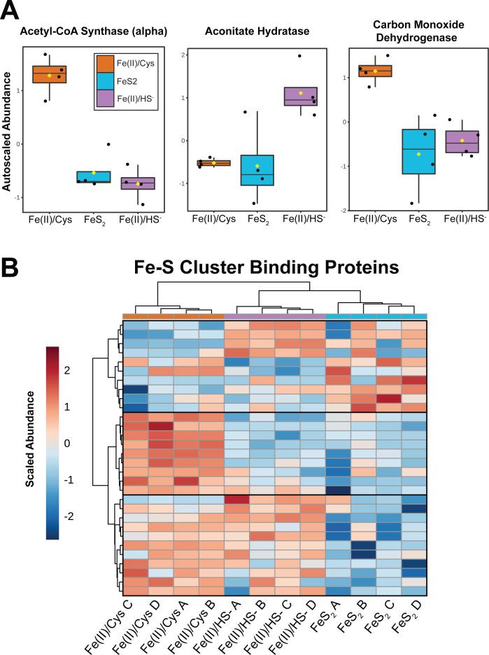 https://cdn.ncbi.nlm.nih.gov/pmc/blobs/718d/10846266/1fc6368927d4/spectrum.00418-23.f006.jpg