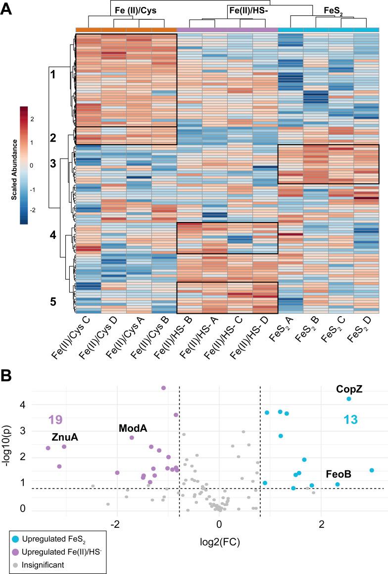 https://cdn.ncbi.nlm.nih.gov/pmc/blobs/718d/10846266/9ded20d8dd79/spectrum.00418-23.f007.jpg