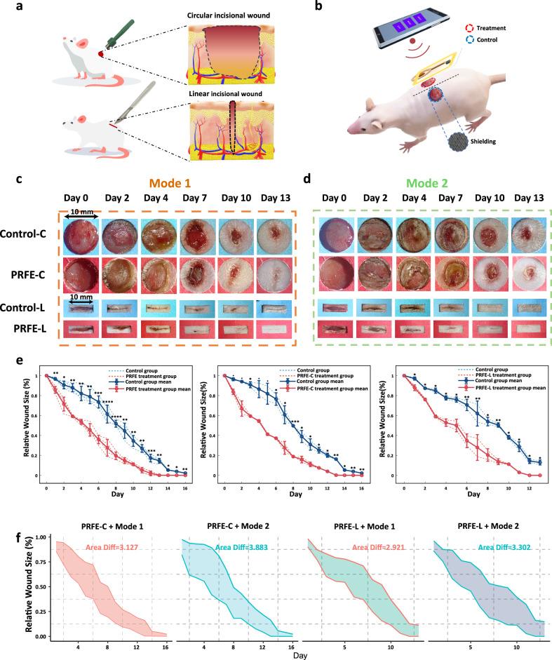 https://cdn.ncbi.nlm.nih.gov/pmc/blobs/718e/11830092/53bc4cb51b5b/41746_2025_1462_Fig4_HTML.jpg