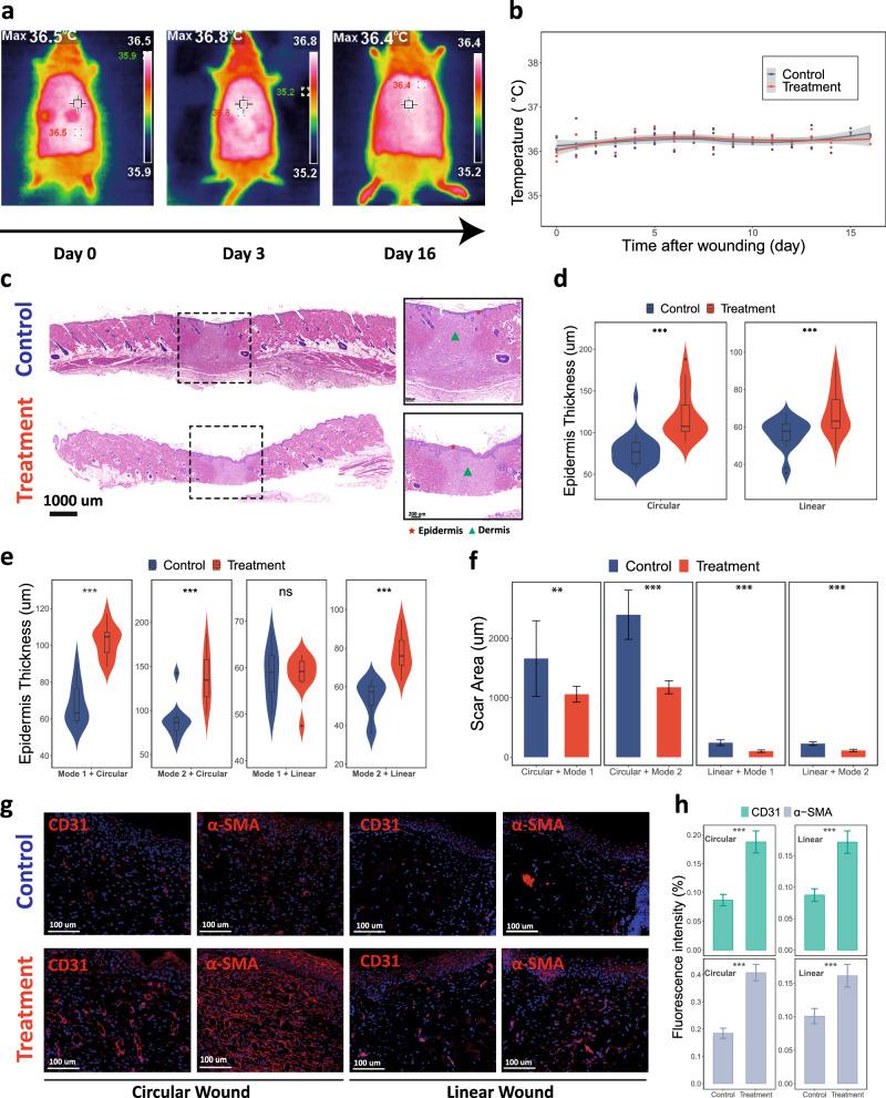 https://cdn.ncbi.nlm.nih.gov/pmc/blobs/718e/11830092/8f91413e06b1/41746_2025_1462_Fig5_HTML.jpg