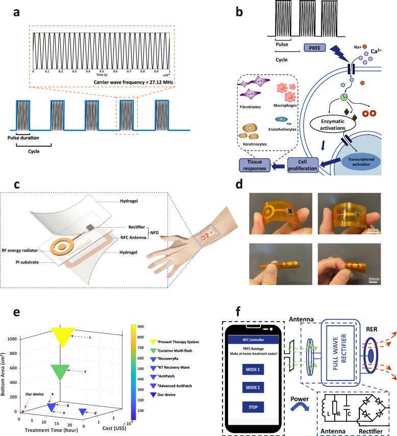 https://cdn.ncbi.nlm.nih.gov/pmc/blobs/718e/11830092/bc385de4ed05/41746_2025_1462_Fig1_HTML.jpg