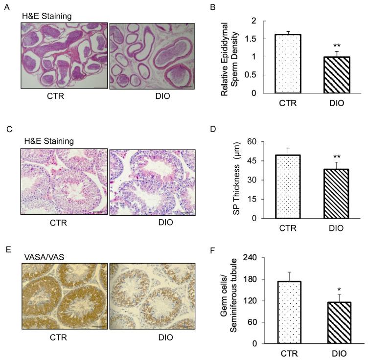 https://cdn.ncbi.nlm.nih.gov/pmc/blobs/7191/10766465/dbcf9beb65c1/ab-23-0175f3.jpg