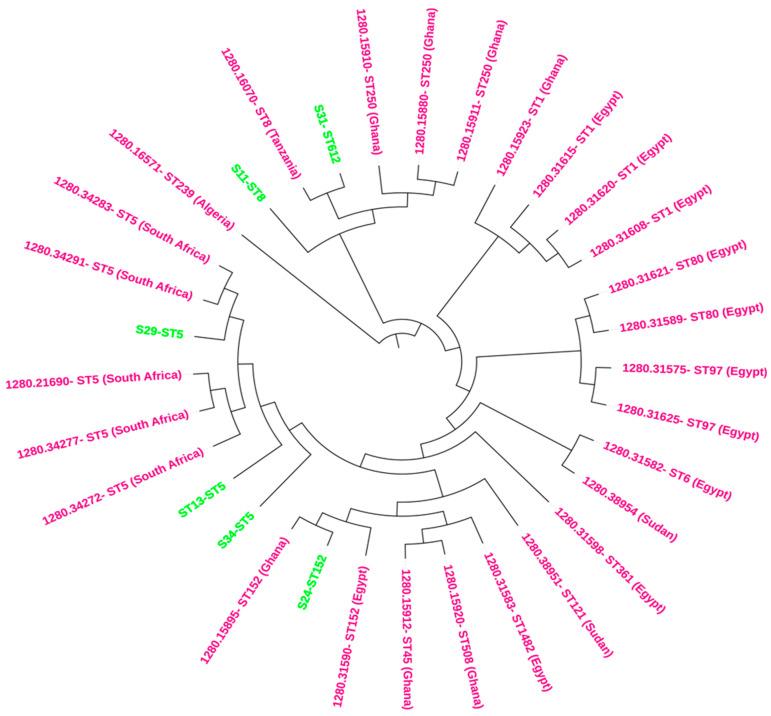 https://cdn.ncbi.nlm.nih.gov/pmc/blobs/7191/11429224/11c7063d843c/antibiotics-13-00796-g001.jpg