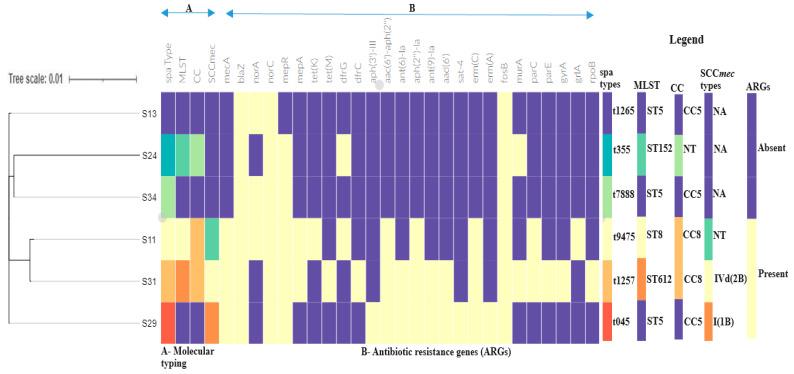https://cdn.ncbi.nlm.nih.gov/pmc/blobs/7191/11429224/8d1231223d55/antibiotics-13-00796-g002.jpg