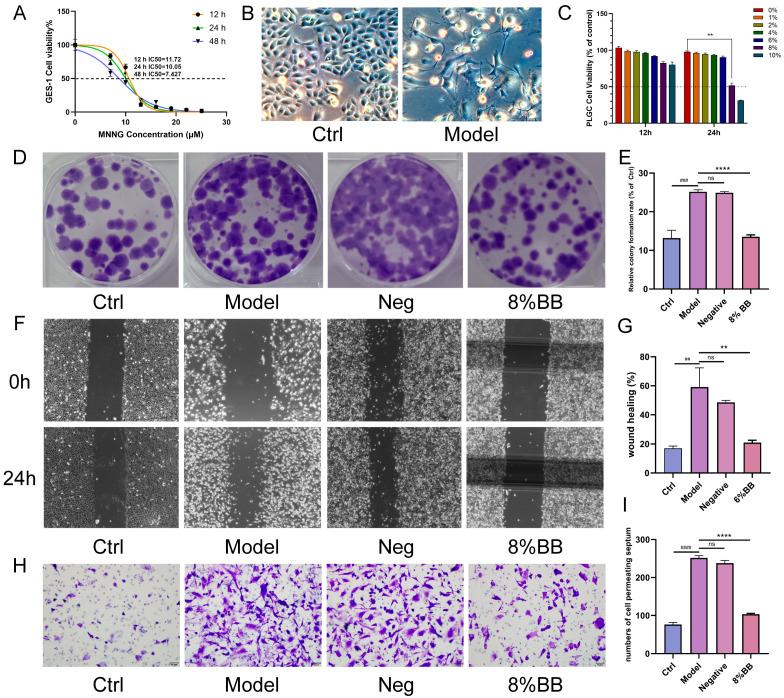https://cdn.ncbi.nlm.nih.gov/pmc/blobs/7192/12195631/87b7ca2dacd3/pharmaceuticals-18-00791-g003.jpg