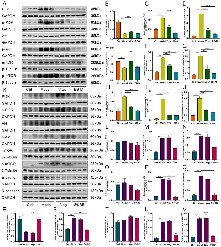 https://cdn.ncbi.nlm.nih.gov/pmc/blobs/7192/12195631/acaea08f2875/pharmaceuticals-18-00791-g007.jpg