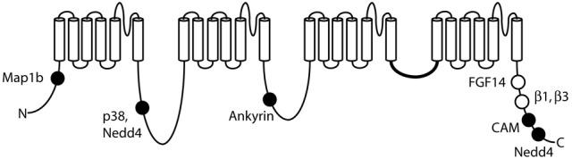 https://cdn.ncbi.nlm.nih.gov/pmc/blobs/7192/3809569/3a646d502138/fgene-04-00213-g0004.jpg