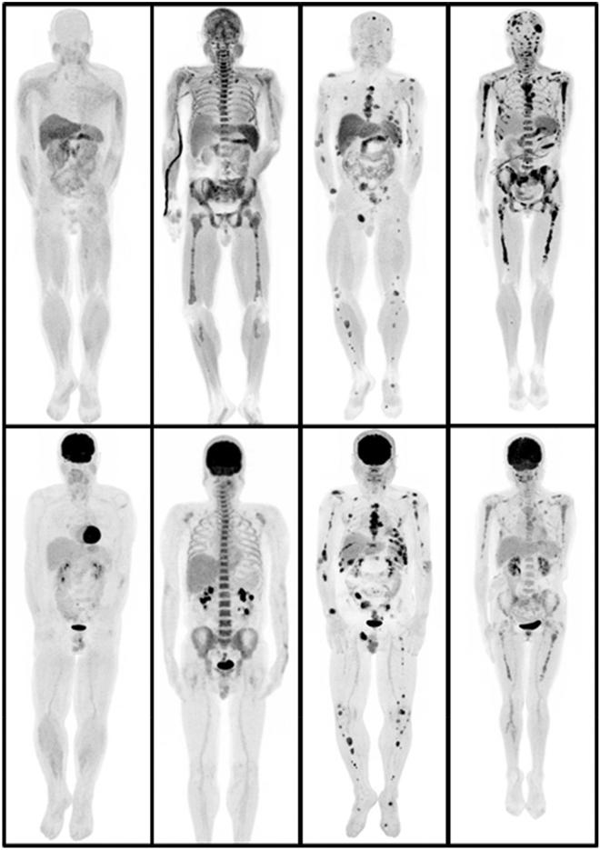 https://cdn.ncbi.nlm.nih.gov/pmc/blobs/7192/8590058/0a63a1b0ca70/41598_2021_1740_Fig1_HTML.jpg