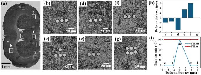 https://cdn.ncbi.nlm.nih.gov/pmc/blobs/7193/11166427/8d090dda3731/boe-15-6-3795-g005.jpg