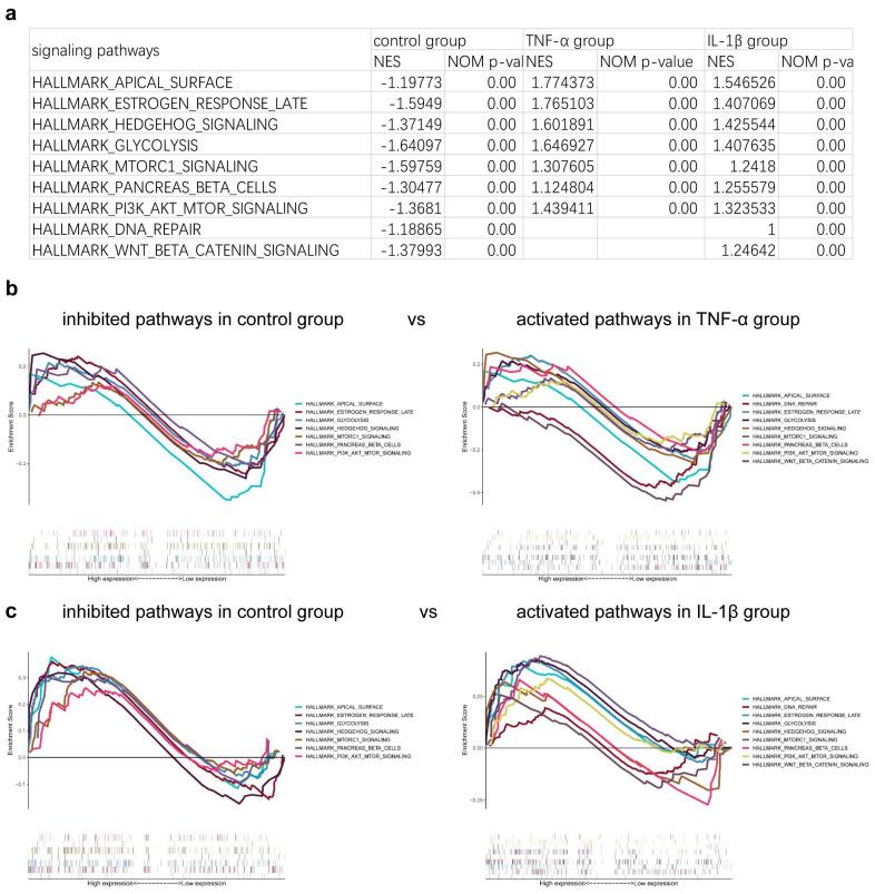https://cdn.ncbi.nlm.nih.gov/pmc/blobs/7193/12109179/18be5efb0927/bioengineering-12-00457-g005.jpg