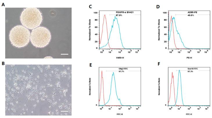 https://cdn.ncbi.nlm.nih.gov/pmc/blobs/7193/12109179/3f9b5c95ac3e/bioengineering-12-00457-g001a.jpg
