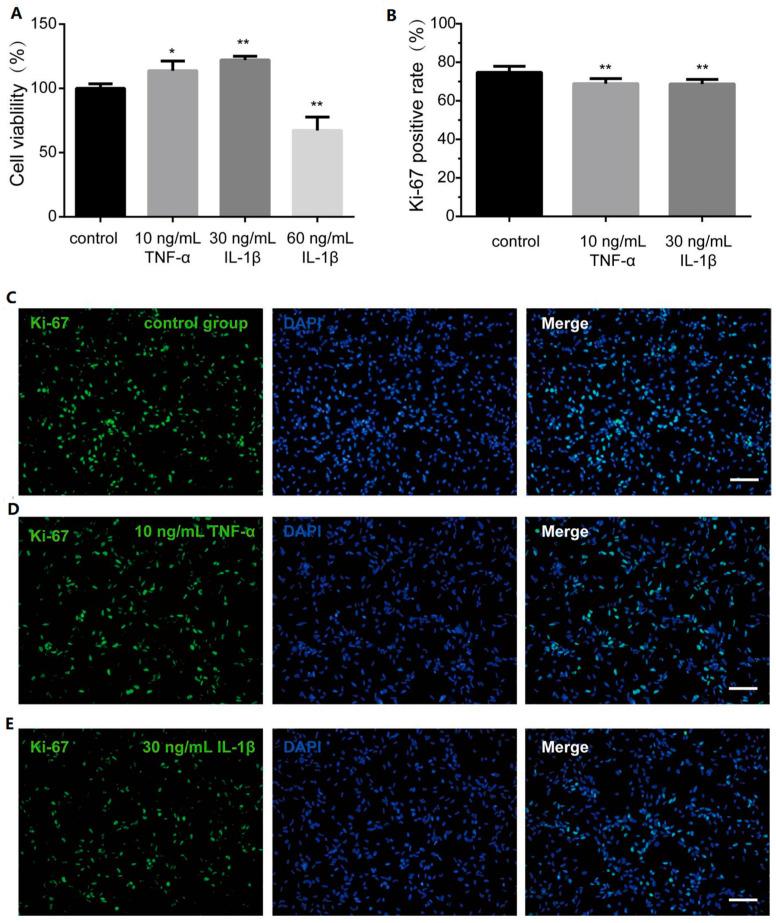 https://cdn.ncbi.nlm.nih.gov/pmc/blobs/7193/12109179/4a0cc35e025e/bioengineering-12-00457-g003.jpg